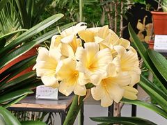 -北京植物园-展览温室