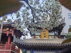 -罔极寺