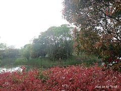 -梁鸿国家湿地公园