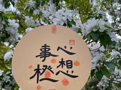 -元大都城垣遗址公园