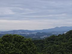 -广州市帽峰山景区