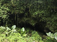-海口火山口国家地质公园