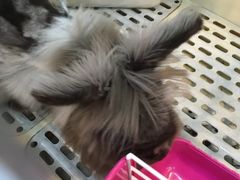 -UltraForce超源健身私教工作室(长楹天街精品店)