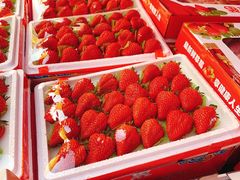 -红星农博物流中心