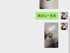 -泰洋动物医院·神经专科·磁共振·CT(天河公园总院)