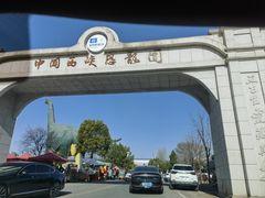 -中国西峡恐龙遗迹园