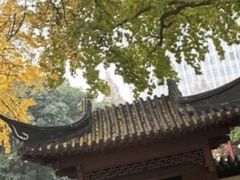 -郑和公园