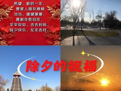 -云岗森林公园