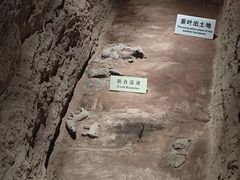 -汉景帝阳陵博物院