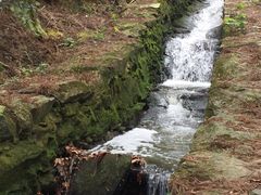 -庐山风景区花径公园