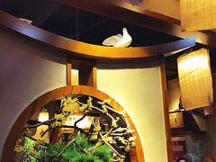 -下杨家青海土火锅(海湖店)