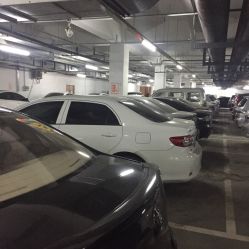 -沈阳市妇婴医院