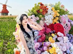 -杭州湾海上花田景区