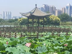 -南宁南湖公园