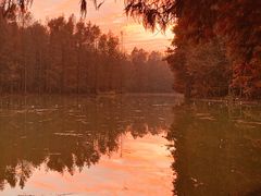 -上海海湾国家森林公园