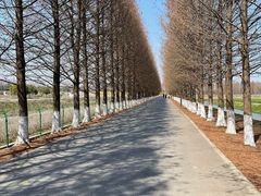 -嘉北郊野公园