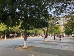 -中山市树木园