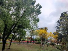 -铁山坪森林公园