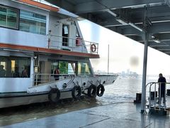 -武汉关码头(轮渡站)