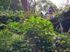 -古龙峡云天玻霸