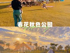 -春花秋色城市公园