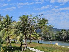 -创味·民间海南菜·非遗藤桥排骨(藤桥·免税城店)