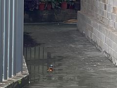 -东水关遗址公园