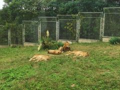 -西安秦岭野生动物园