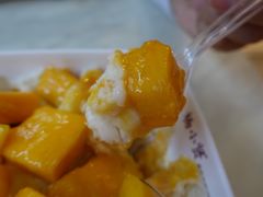 -杨小贤(武夷宫路店)