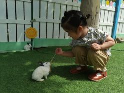 -萌宠亲子动物乐园(槐房万达店)