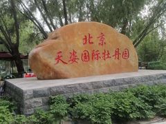 -太阳宫公园