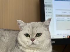 -谐和贝康宠物医院24小时·宠保定点(急重症转诊中心)