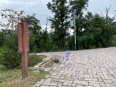 -紫云台香草园