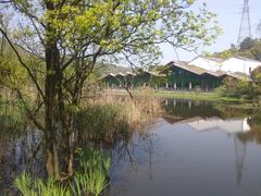 -西湖风景区-江洋畈生态公园