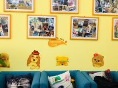 -瑞鹏宠物医院·爱宠堂·骨外专科(西荷分院)