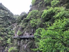 -磐安舞龙峡景区