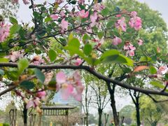 -瑶湖湿地自然保护区