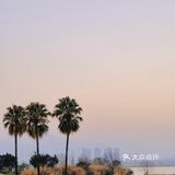 福州花海公园🍂不止郁金香还有‼️