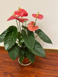 -丹漪·DANYI 美肤中心