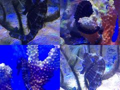 -多彩贵州城极地海洋世界