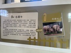 -太原动物园