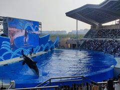 -上海海昌海洋公园