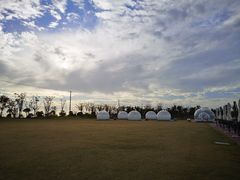 -春花秋色城市公园