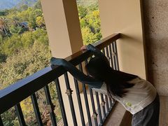 -广州锦绣香江度假别墅