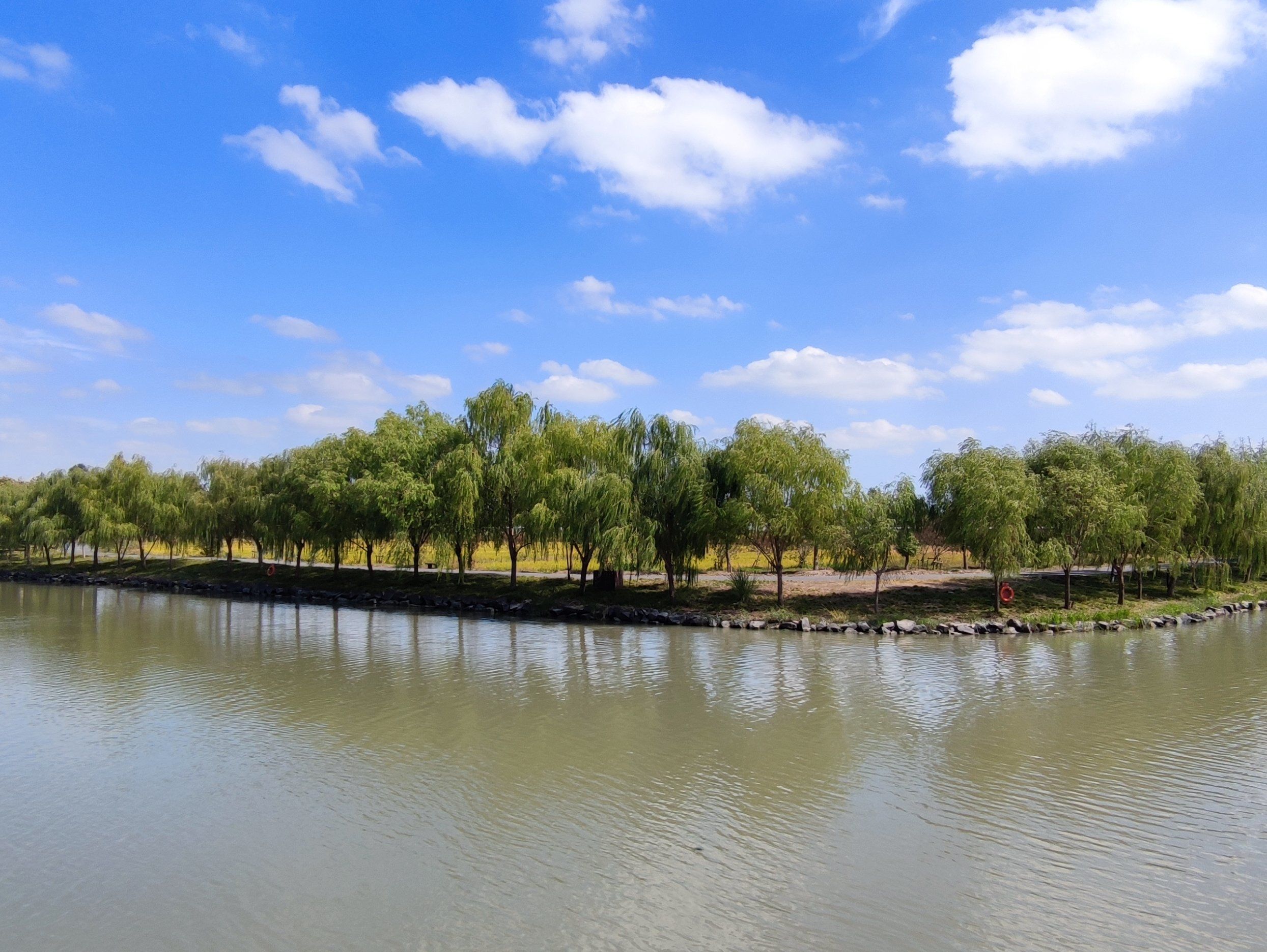 松江之广富林郊野公园