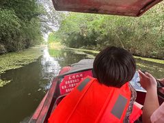 -溱湖国家湿地公园