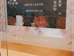 -猫冇咖·家门口的撸猫馆(大融城店)