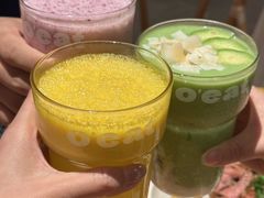 -O'eat Blossom&Pelican(深圳首店)