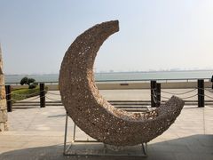 -大湾区中央湿地公园