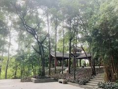 -南岗山公园